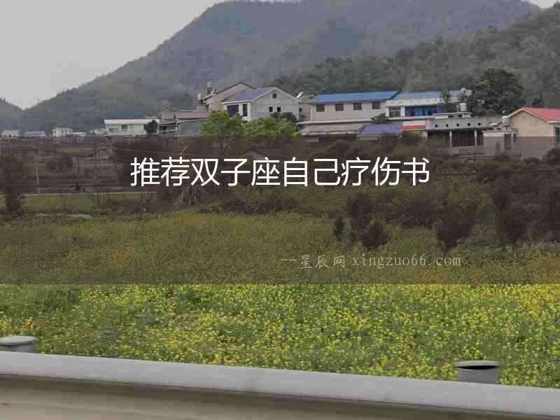 推薦雙子座自己療傷書(shū)