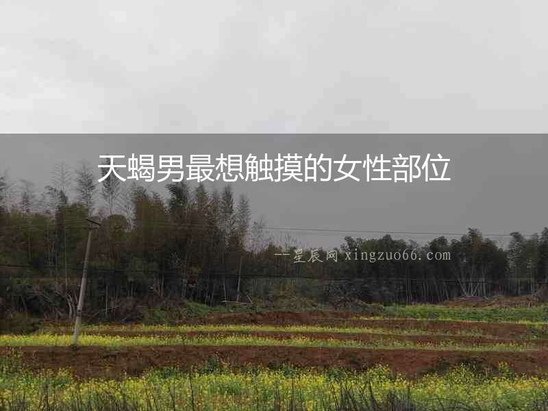 天蝎男最想觸摸的女性部位