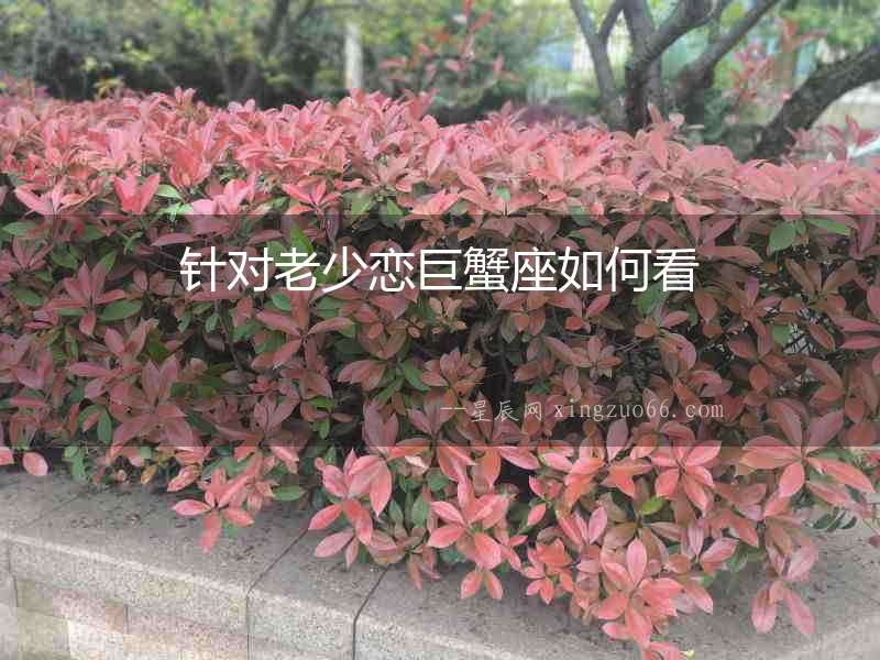 針對老少戀巨蟹座如何看