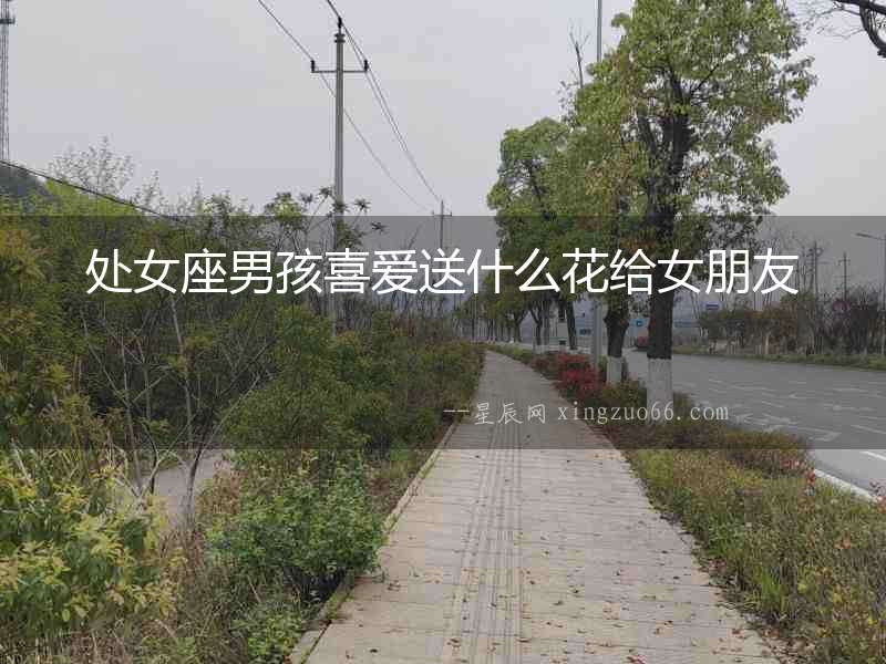處女座男孩喜愛送什么花給女朋友