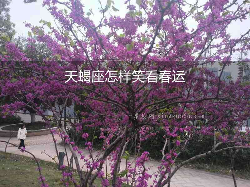天蝎座怎樣笑看春運(yùn)