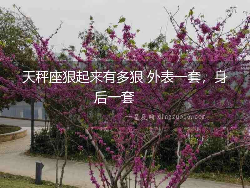 天秤座狠起來有多狠 外表一套，身后一套  　　
