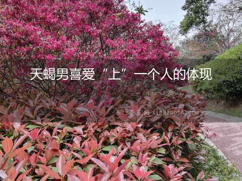 天蝎男喜愛(ài)“上”一個(gè)人的體現(xiàn)
