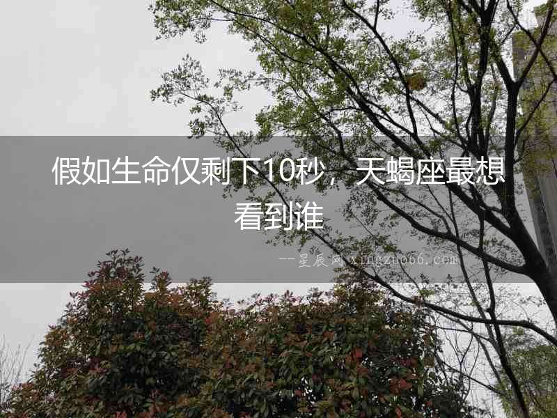 假如生命僅剩下10秒，天蝎座最想看到誰