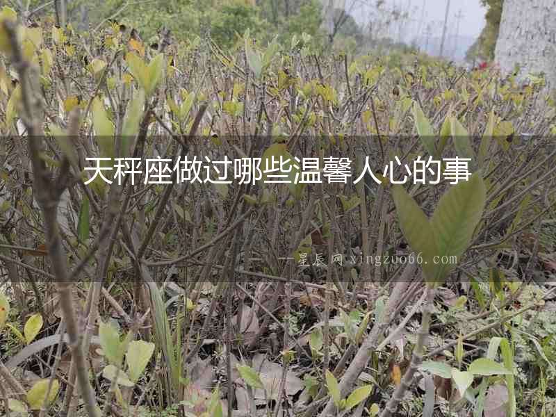 天秤座做過哪些溫馨人心的事