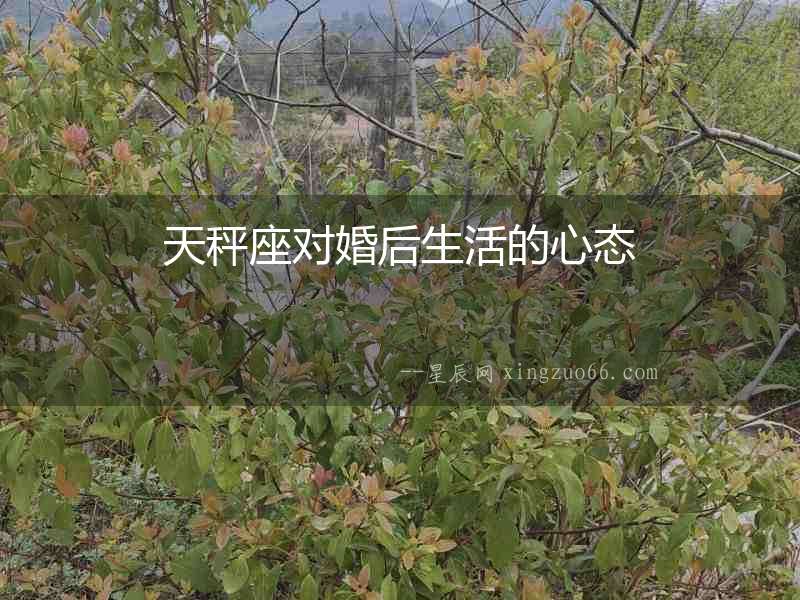 天秤座對婚后生活的心態