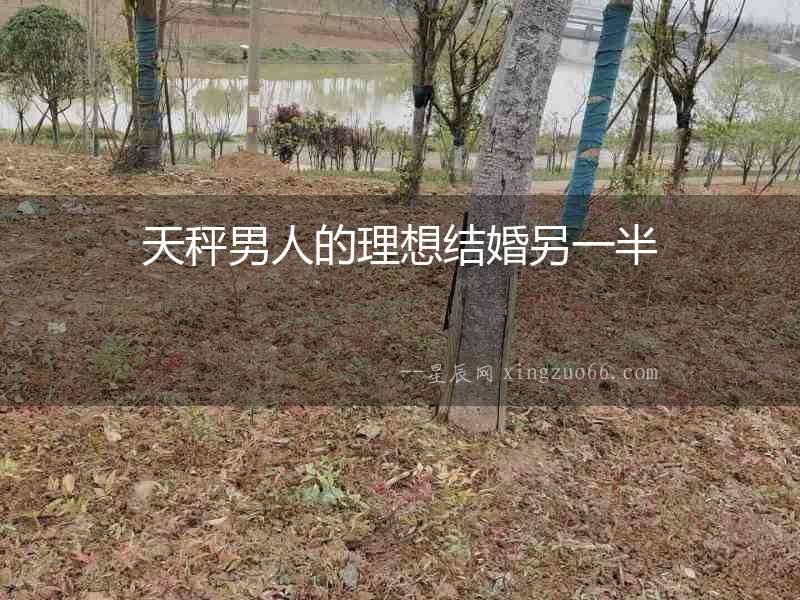 天秤男人的理想結(jié)婚另一半