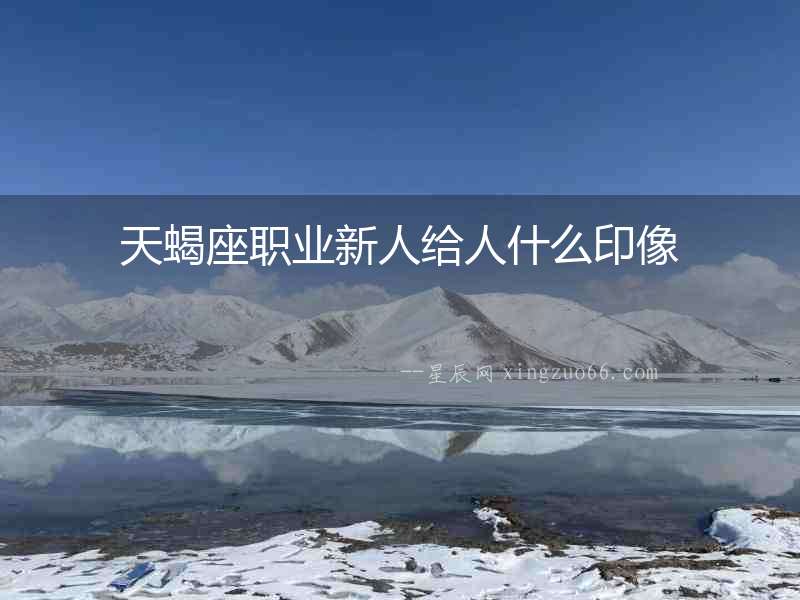 天蝎座職業(yè)新人給人什么印像