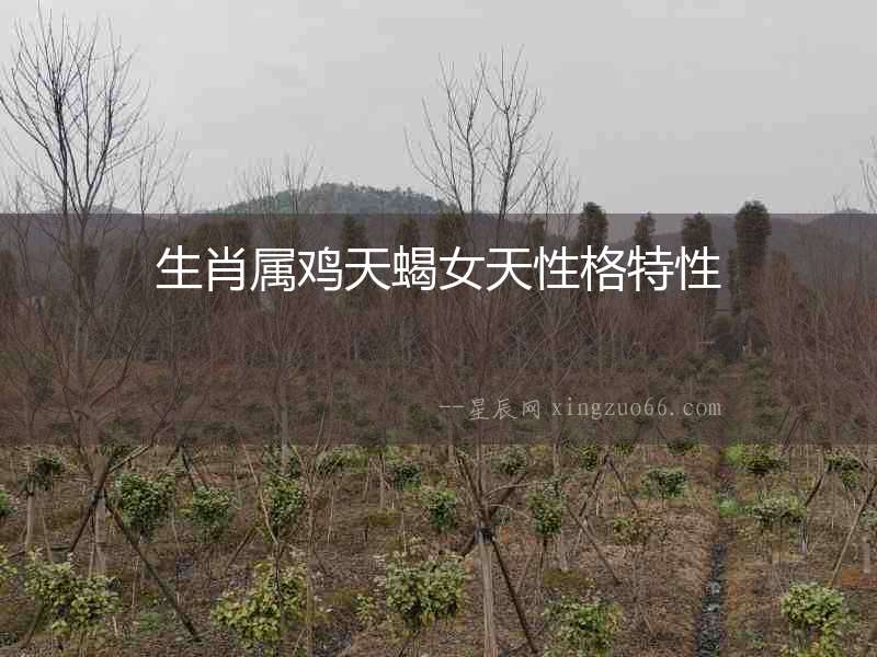 生肖屬雞天蝎女天性格特性