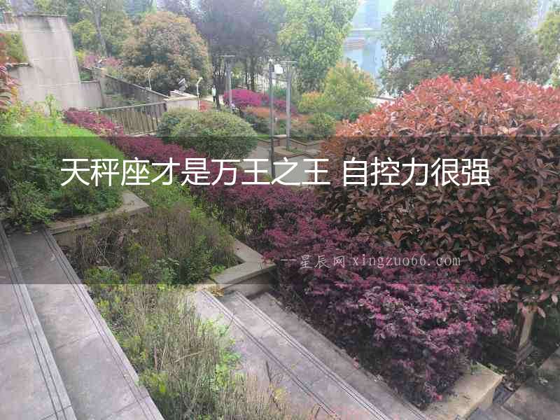 天秤座才是萬王之王 自控力很強  　　
