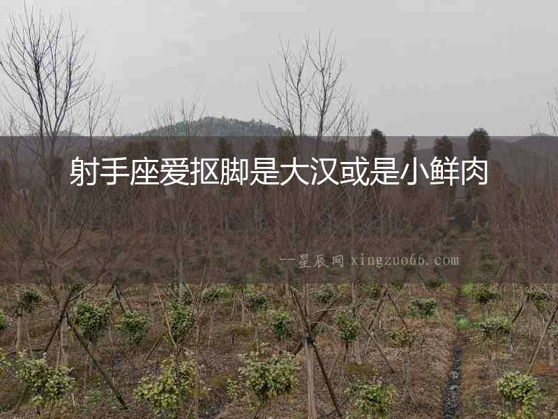 射手座愛摳腳是大漢或是小鮮肉
