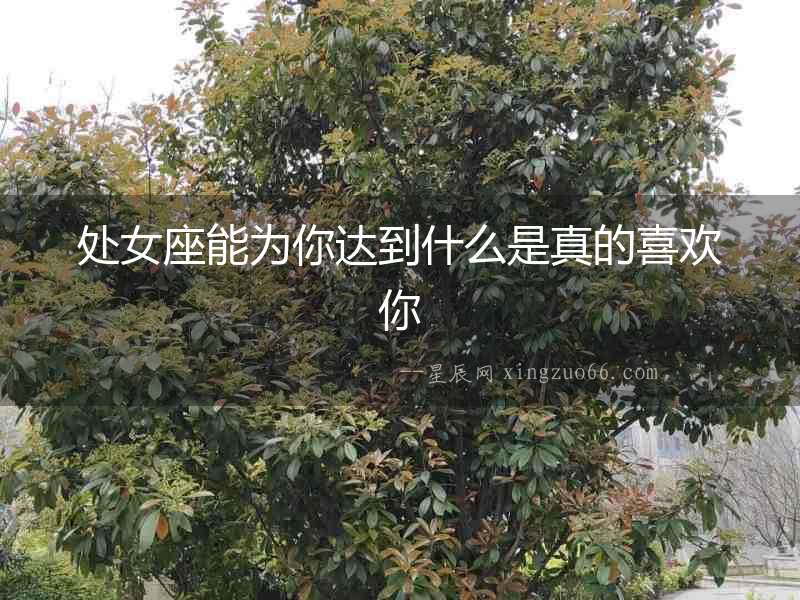 處女座能為你達到什么是真的喜歡你