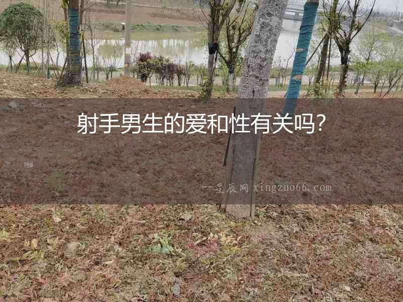 射手男生的愛和性有關(guān)嗎？