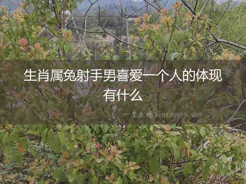 生肖屬兔射手男喜愛一個人的體現有什么