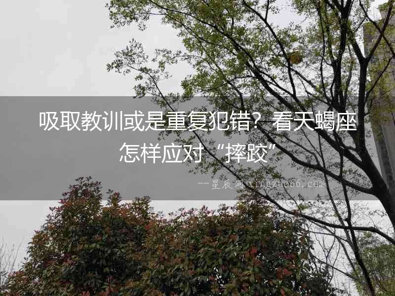 吸取教訓(xùn)或是重復(fù)犯錯(cuò)？看天蝎座怎樣應(yīng)對(duì)“摔跤”