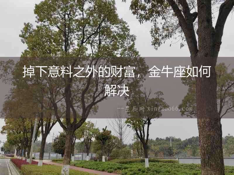 掉下意料之外的財富，金牛座如何解決