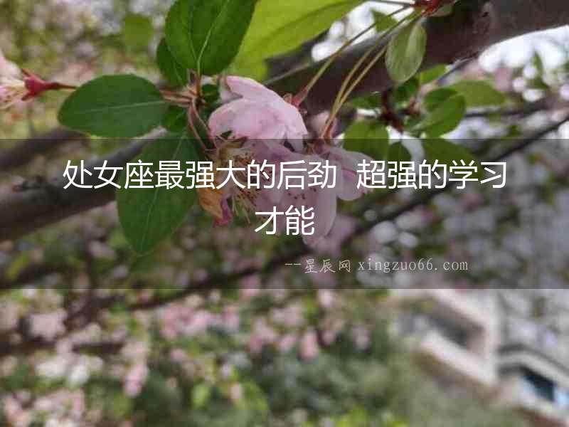 處女座最強大的后勁  超強的學習才能