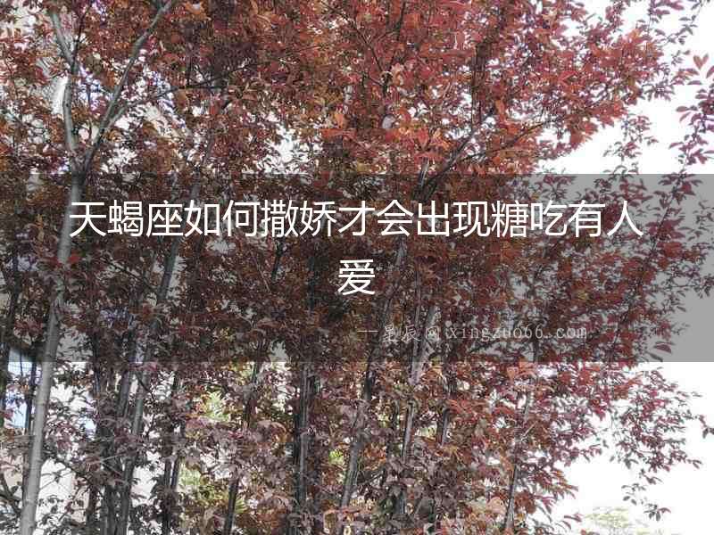 天蝎座如何撒嬌才會出現糖吃有人愛
