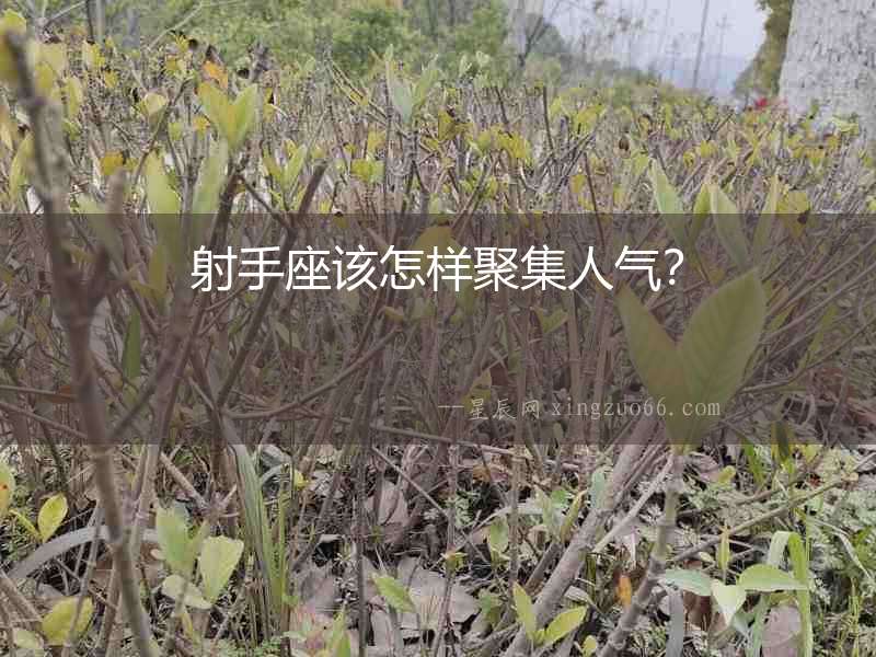 射手座該怎樣聚集人氣？