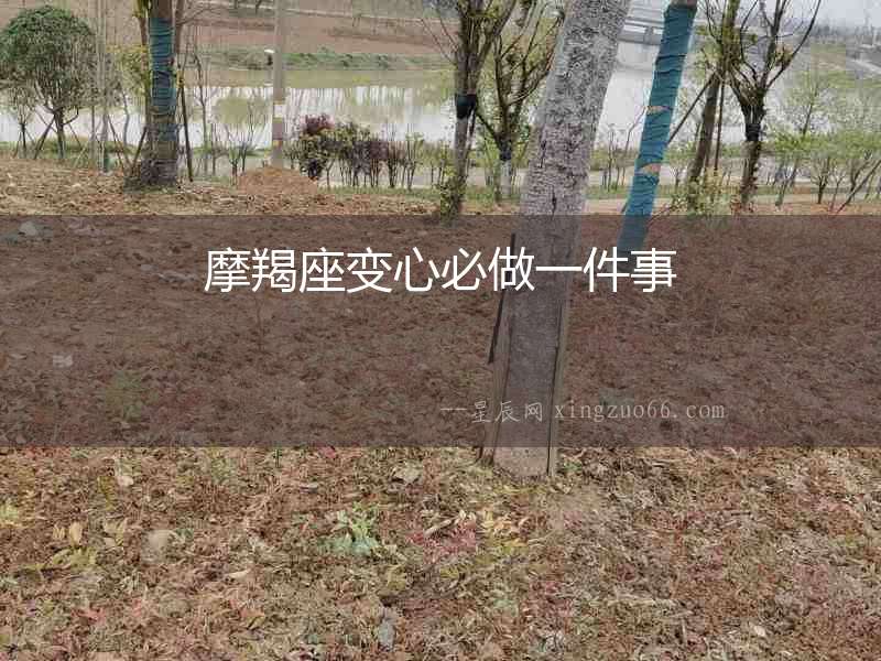 摩羯座變心必做一件事
