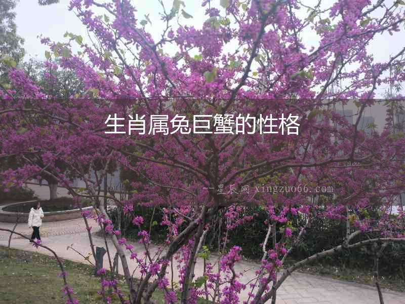 生肖屬兔巨蟹的性格