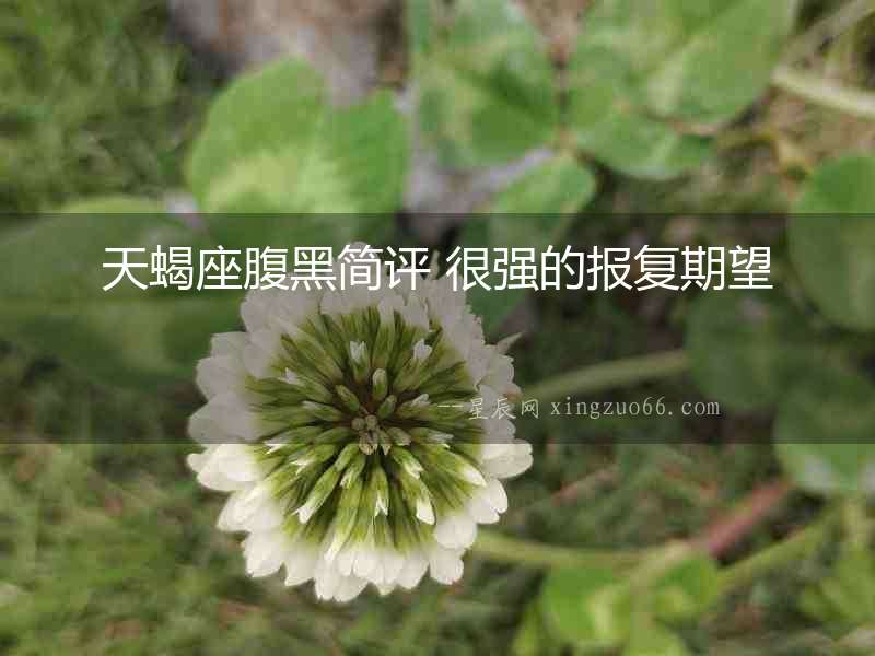 天蝎座腹黑簡評 很強的報復(fù)期望