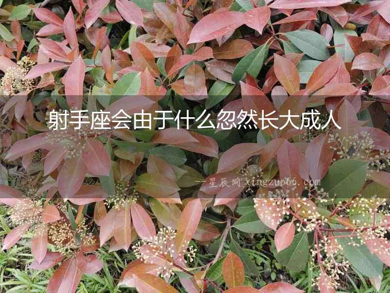 射手座會(huì)由于什么忽然長大成人