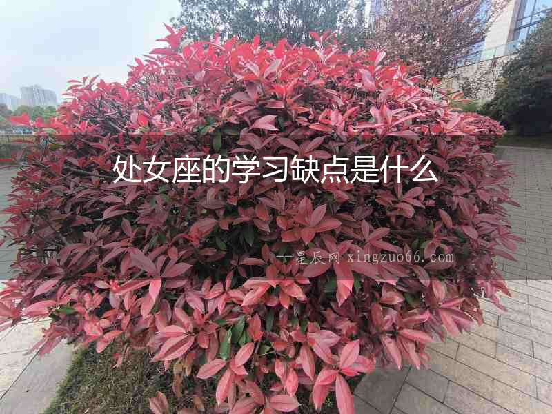 處女座的學(xué)習(xí)缺點(diǎn)是什么