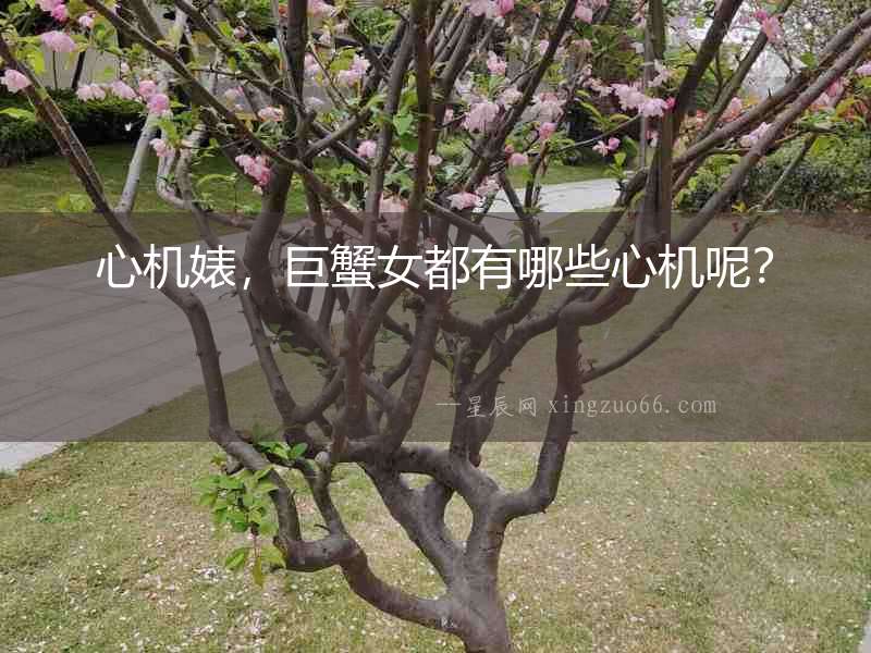 心機(jī)婊，巨蟹女都有哪些心機(jī)呢？