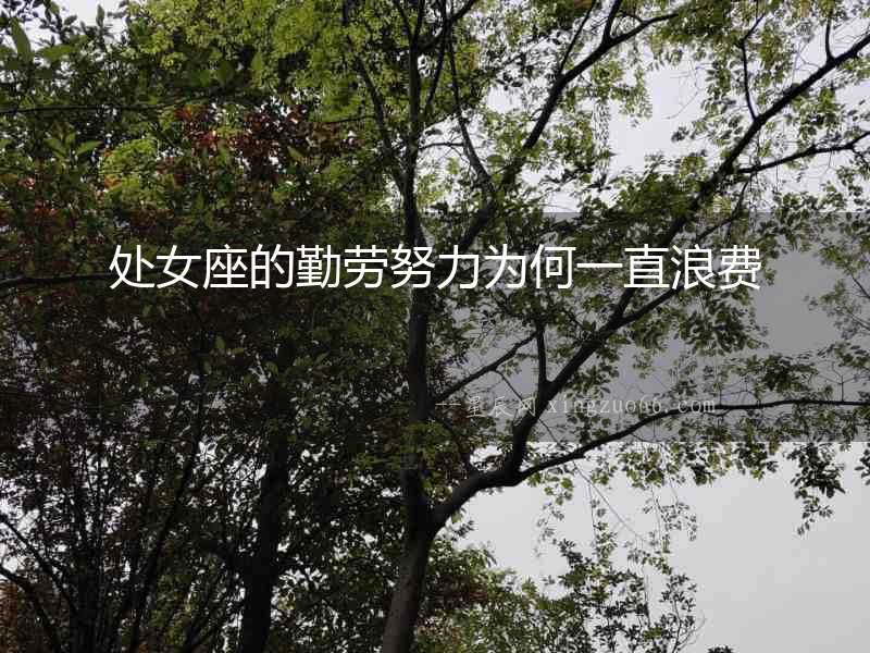 處女座的勤勞努力為何一直浪費