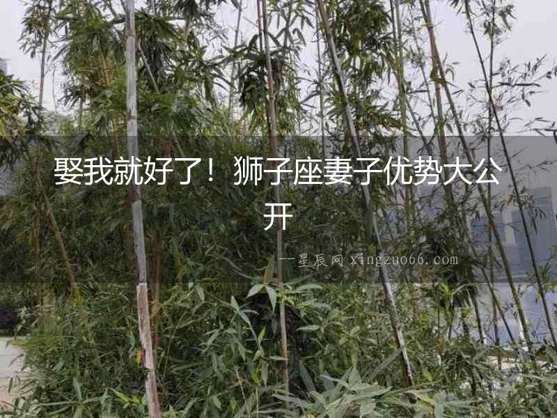 娶我就好了！獅子座妻子優勢大公開