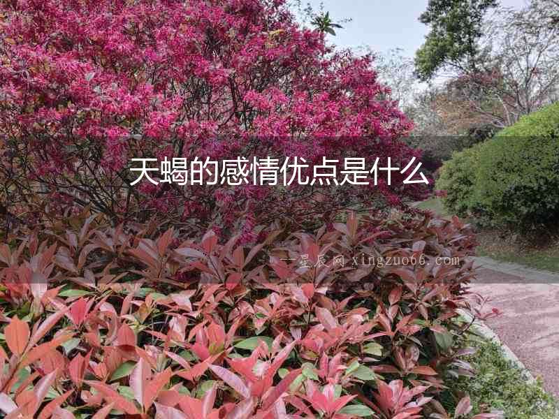 天蝎的感情優點是什么