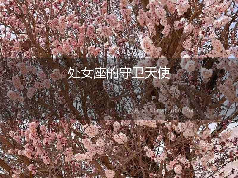 處女座的守衛天使