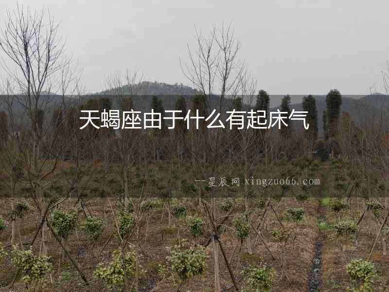 天蝎座由于什么有起床氣
