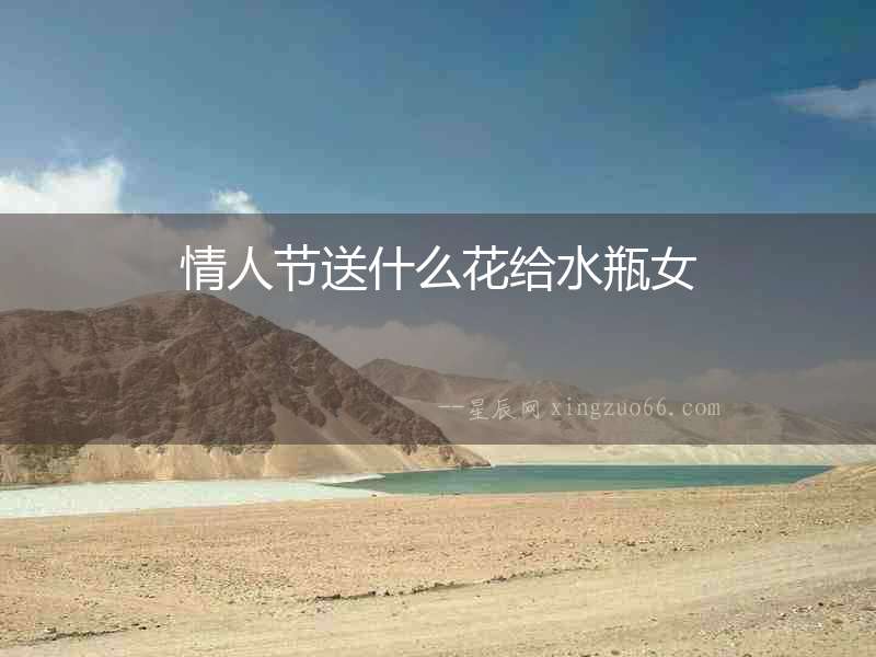 情人節(jié)送什么花給水瓶女
