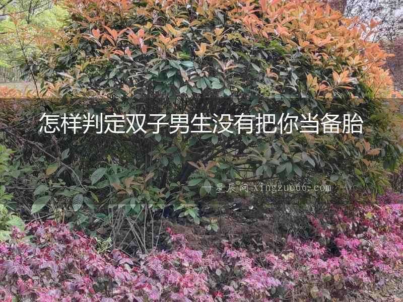 怎樣判定雙子男生沒有把你當備胎