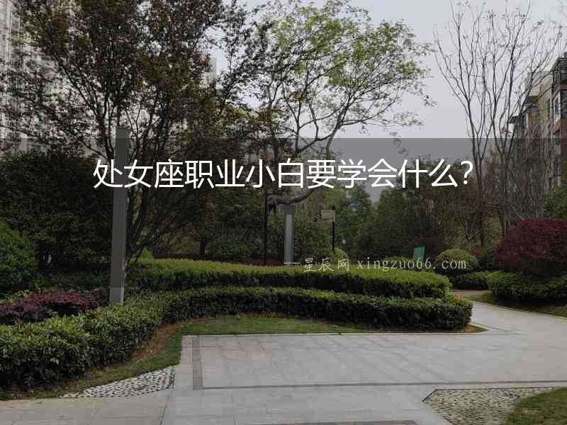 處女座職業小白要學會什么？