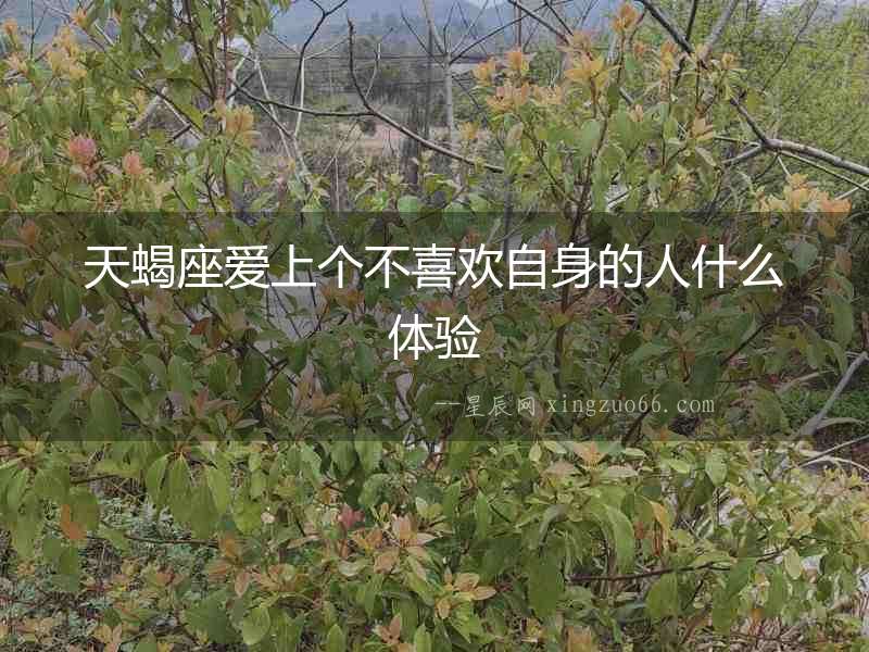 天蝎座愛上個不喜歡自身的人什么體驗