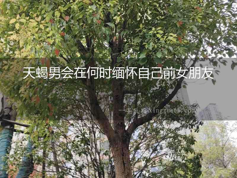 天蝎男會在何時緬懷自己前女朋友