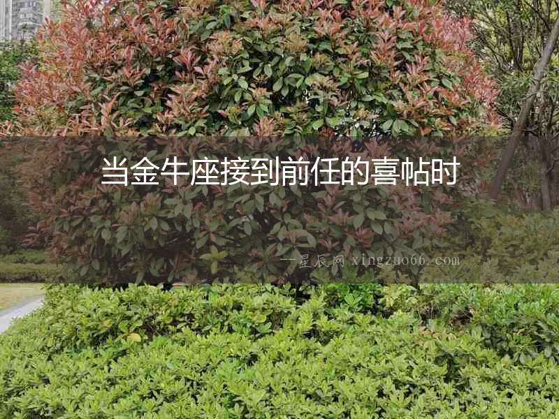 當(dāng)金牛座接到前任的喜帖時(shí)