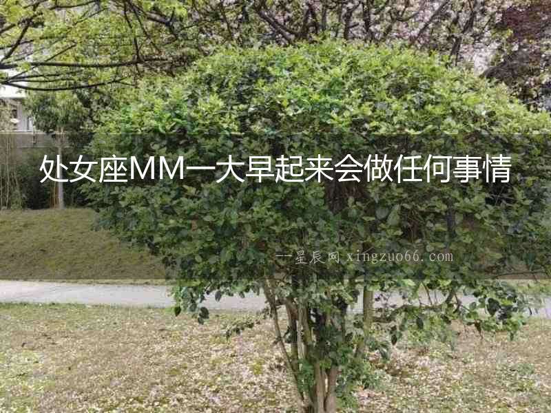處女座MM一大早起來會做任何事情
