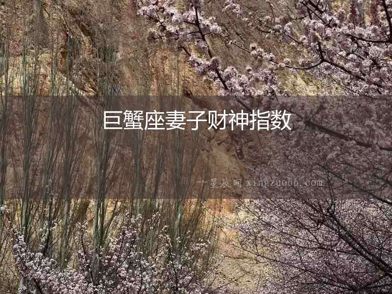 巨蟹座妻子財神指數