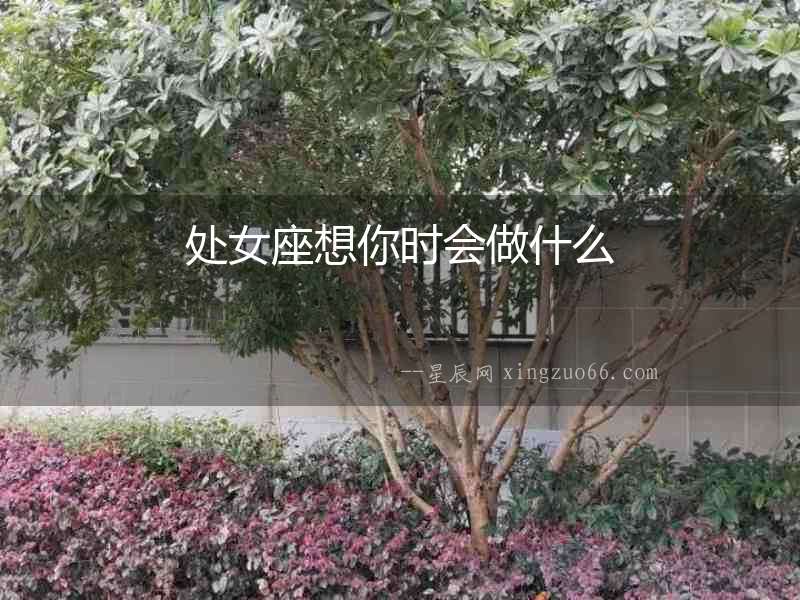 處女座想你時會做什么