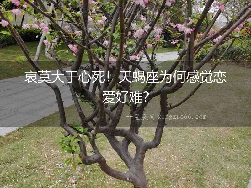 哀莫大于心死！天蝎座為何感覺戀愛好難？