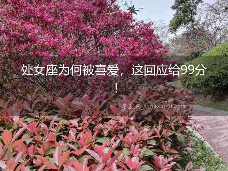 處女座為何被喜愛(ài)，這回應(yīng)給99分！