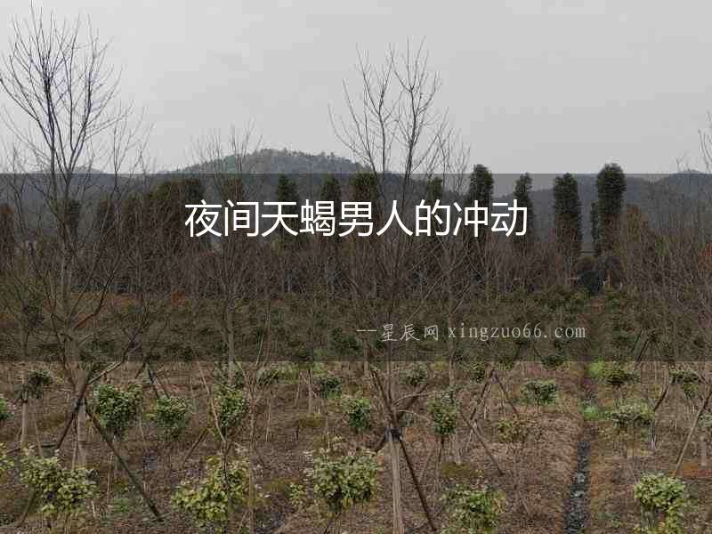 夜間天蝎男人的沖動