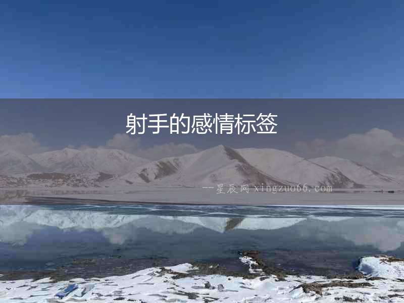 射手的感情標簽　