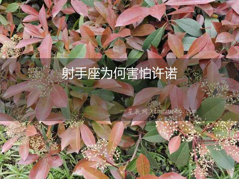 射手座為何害怕許諾