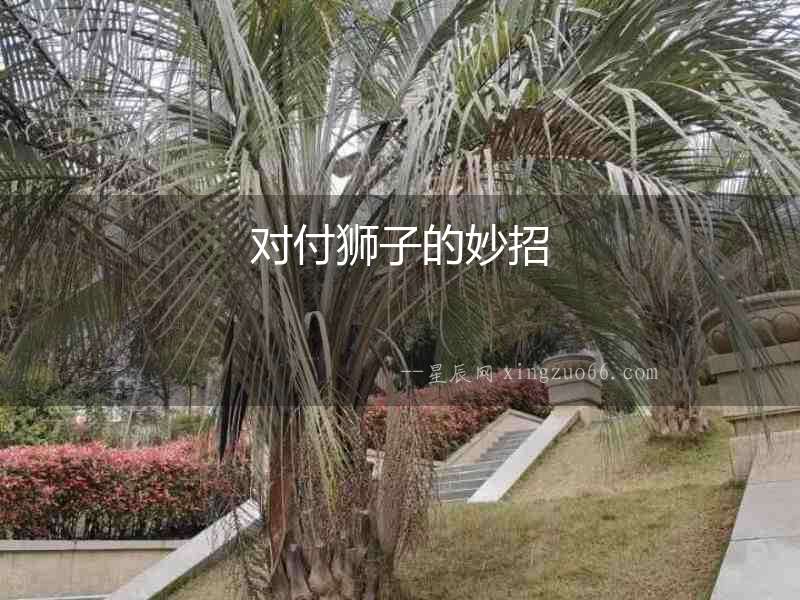 對付獅子的妙招