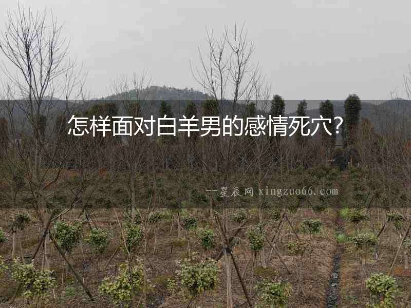 怎樣面對白羊男的感情死穴？